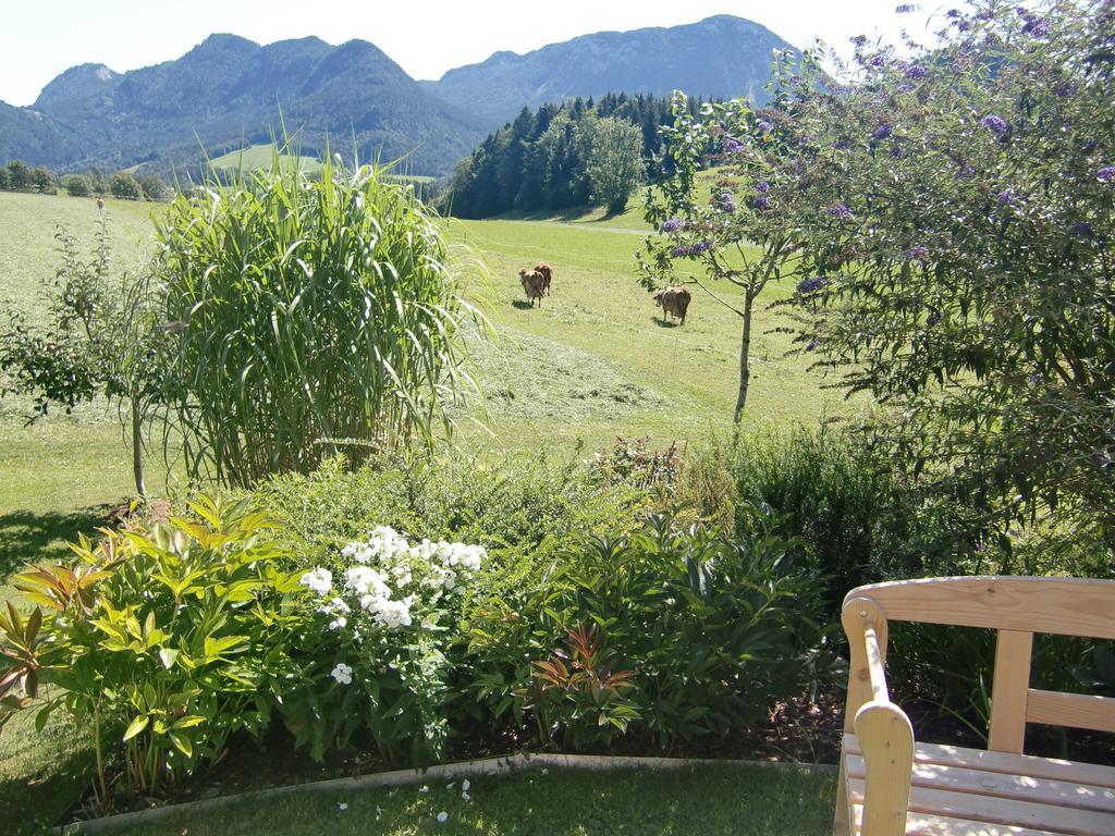 Apartamento Haus Brandstaetter Grundlsee Exterior foto